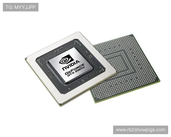 PA骰子在娱乐与专业领域的不同用途详解