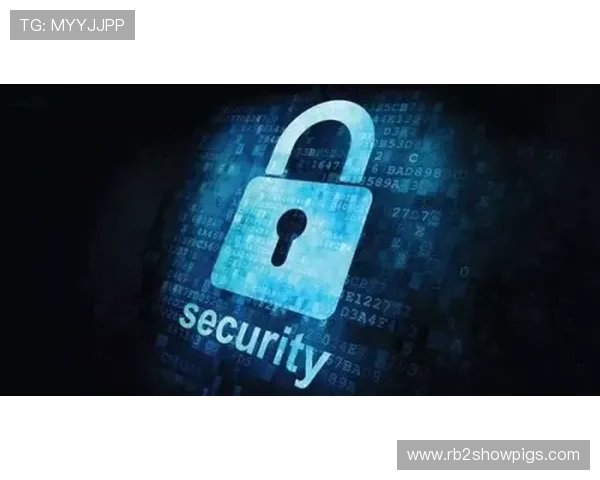 解密凯发登陆手机的安全性能,为您的账号保驾护航