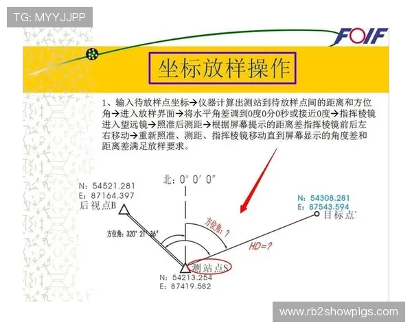 凯发滚球盘新手入门指南快速掌握基础规则与实用技巧提升体验
