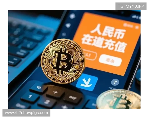 比特币赌场风险分析：投资比特币赌博前必须了解的潜在风险与防范措施