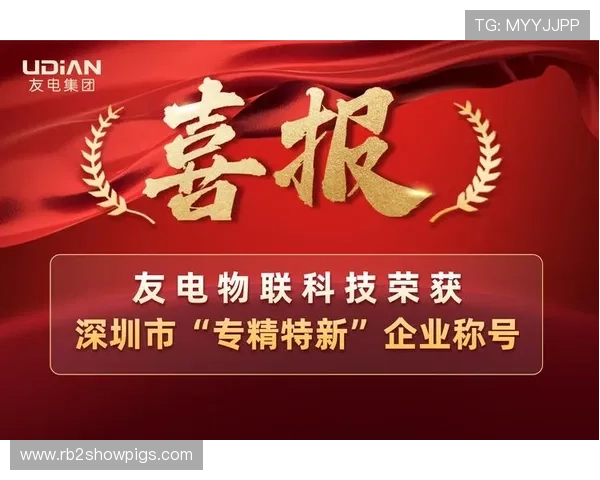 K8·凯发中国一触即发：全面解析最新博彩平台的优势与安全保障措施